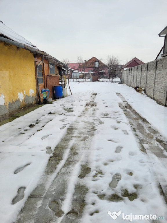 Casa de vanzare Timisoara