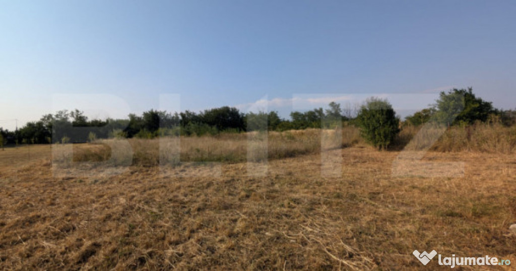 Teren intravilan pentru construcție case – Priseaca, jud