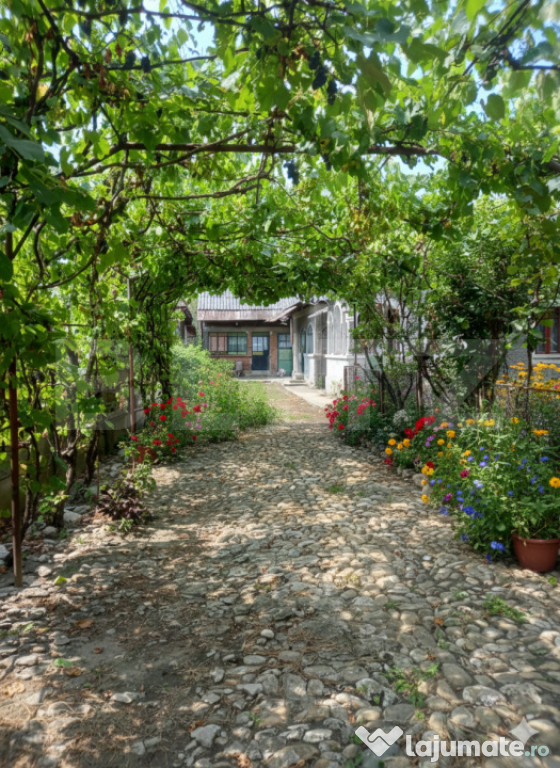 Gospodărie Completă, 130 mp, 1.300 mp Teren, zona Doiceșt