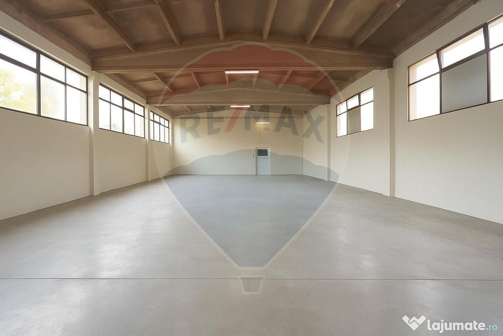 Hală industrială de închiriat în Tăuții de Sus – ...