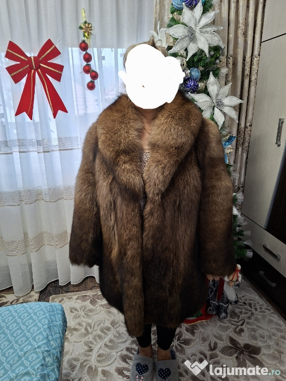 Haine dama vulpe polara si nutre