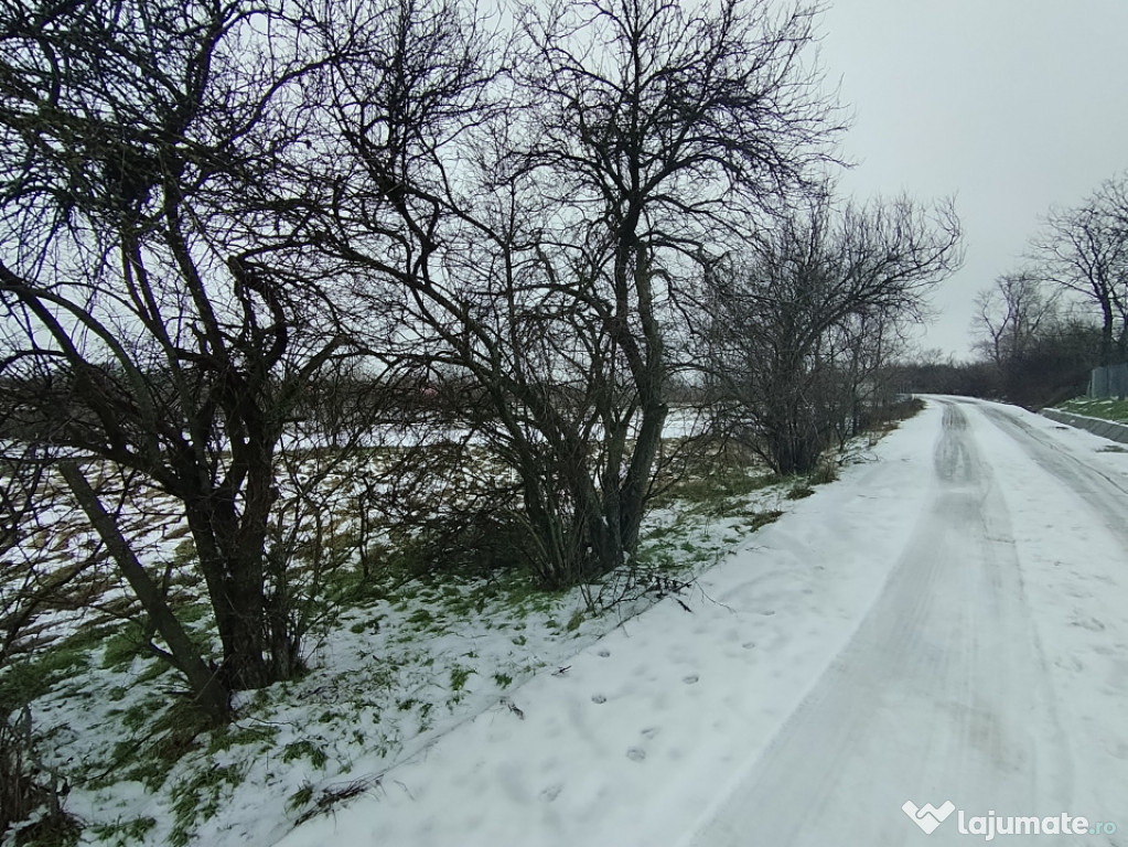 Teren 640 mp, Mischii, front 45,78 m