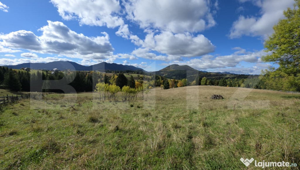 Teren 1,5 hectare la Piatra Fantanele