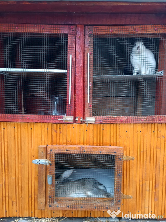Cușcă pentru iepuri
