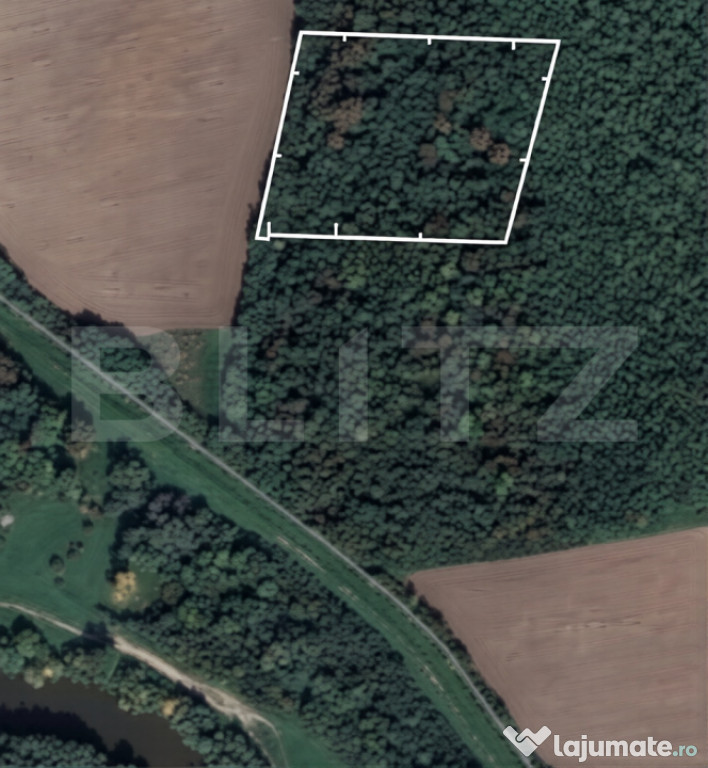 Pădure 10.000 mp Șag – front stradal 100 m, zonă în de