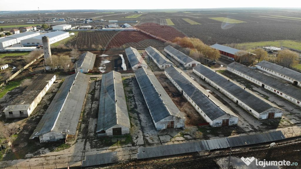 Hale 16 mii mp cu 9 ha teren intravilan