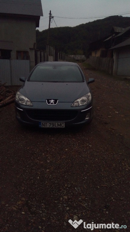 Peugeot 407 / schimb