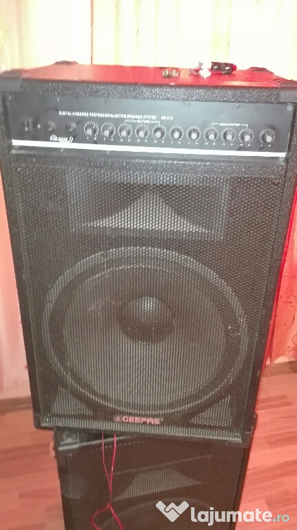 Boxe geppas 300w