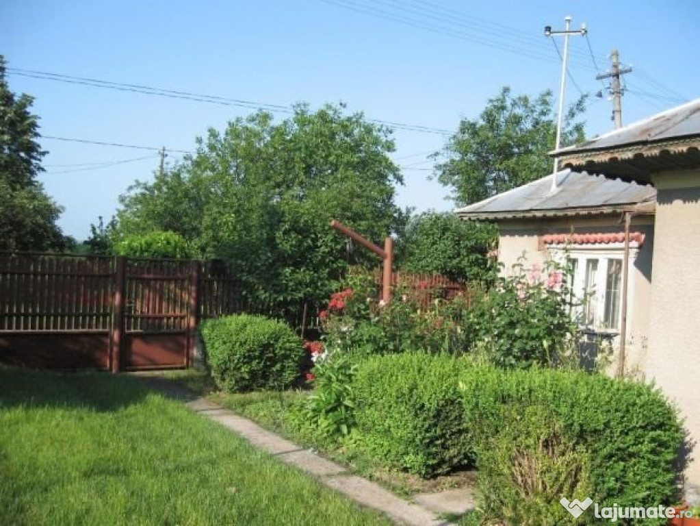 Casa Petru Rares, Jud Giurgiu Central