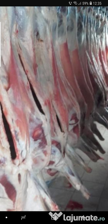 Oaie sau capra la carcasa