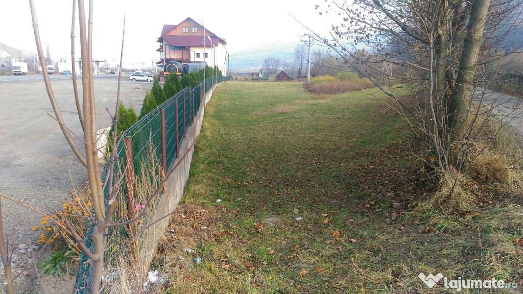 Teren 2400 m2 Bucşoiţa