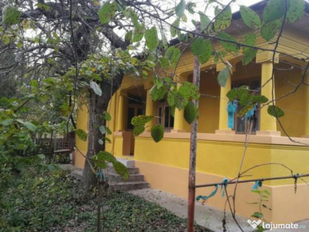 Casa pe malul Dunarii (bratul Borcea ) Dichiseni Calarasi