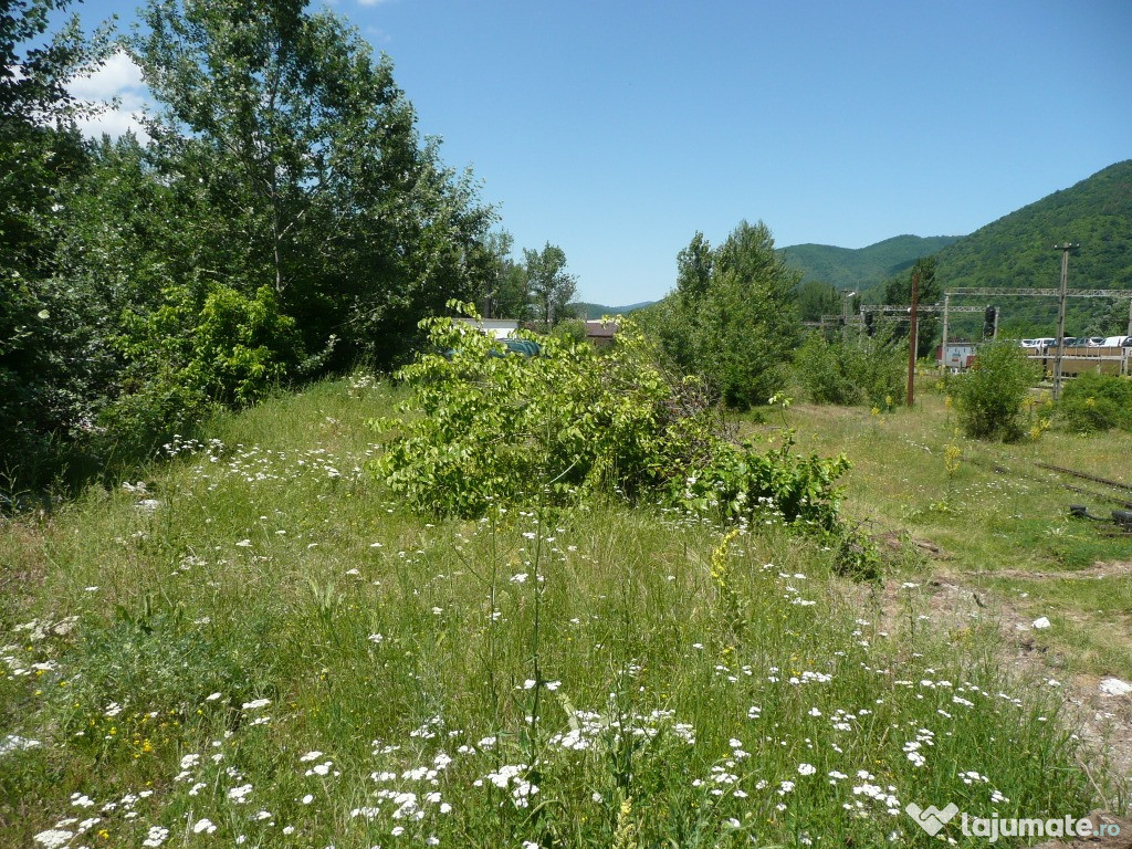 Teren 5689 mp extravilan in Berislavesti Valcea