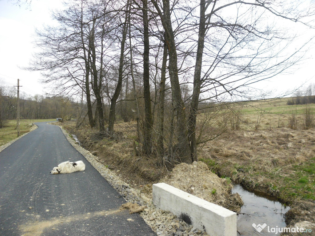Teren intravilan în loc. Tusa 2300mp