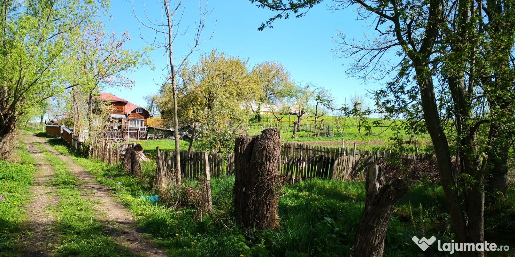 Casă cu grădină si teren arabil Dragoiesti, Suceava