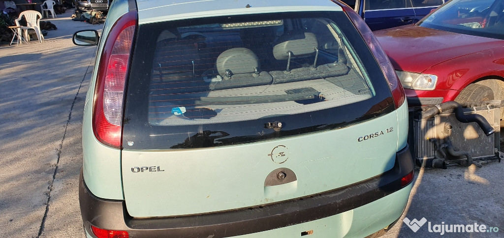 Haion corsa c