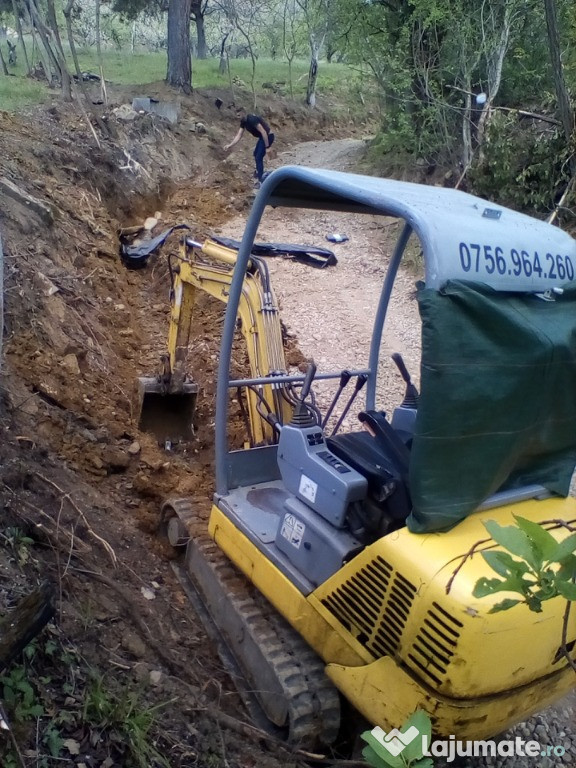 Miniexcavator 2005/ 2t și platforma