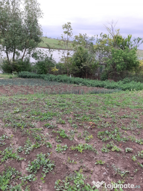 Teren Călărași 500mp