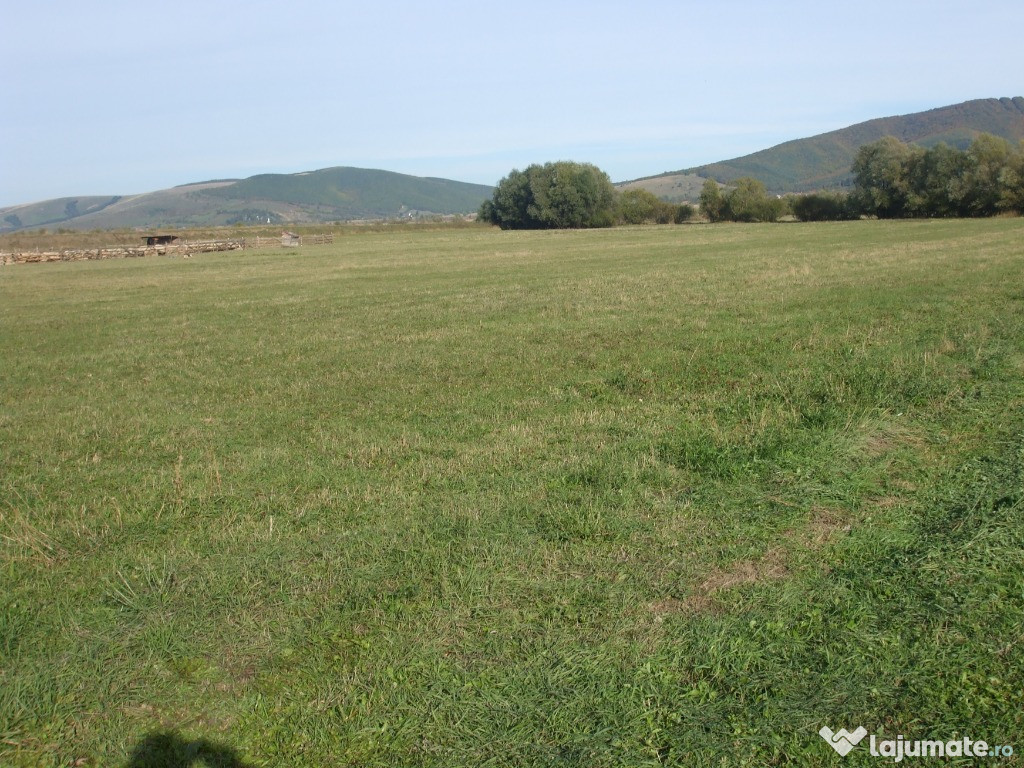 Teren in sat Bacel la 25 Km de Brasov