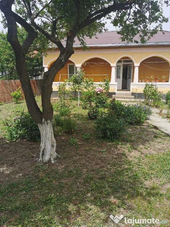 Imobil