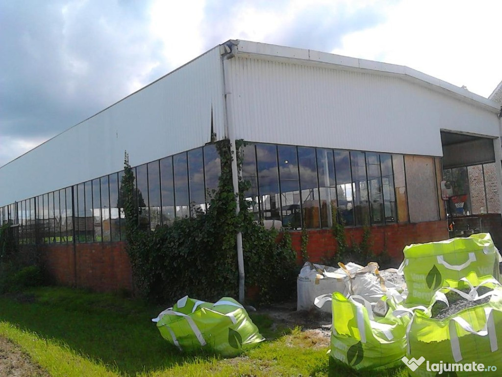 Hala second hand Cristestii Ciceului, Bistrita-Nasaud
