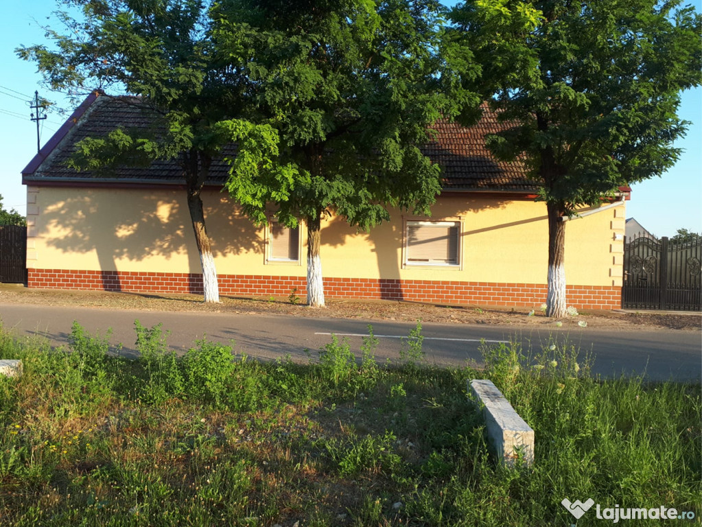 Proprietar casa + teren 1485 mp Becicherecu Mic