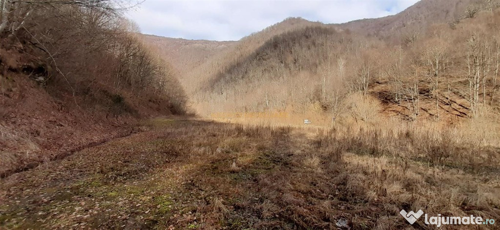 Teren in Marisel la coada lacului Tarnita 3660 mp