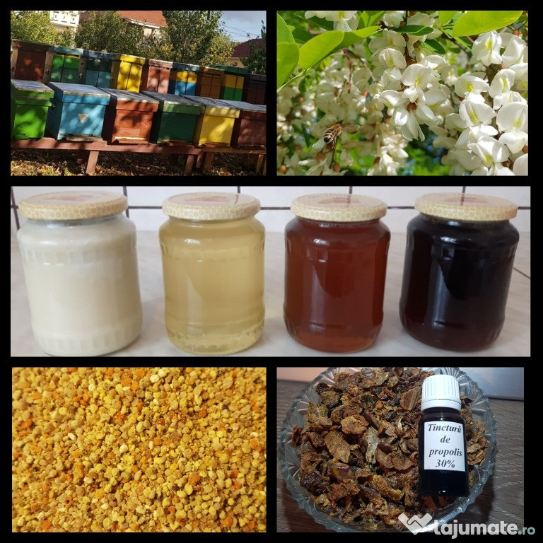 Miere și produse apicole