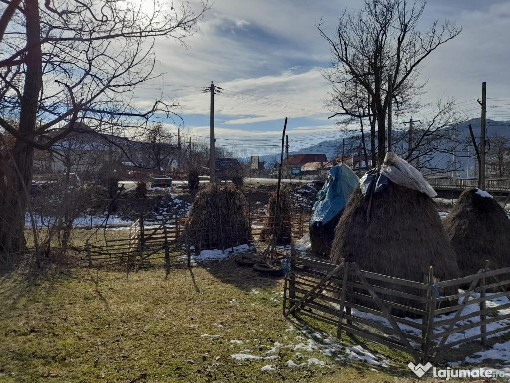 Teren 6000mp Zona turistica- intravilan Oestii Pamanteni