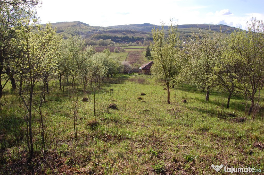 Casa in stare foarte buna cu teren de 5658 mp