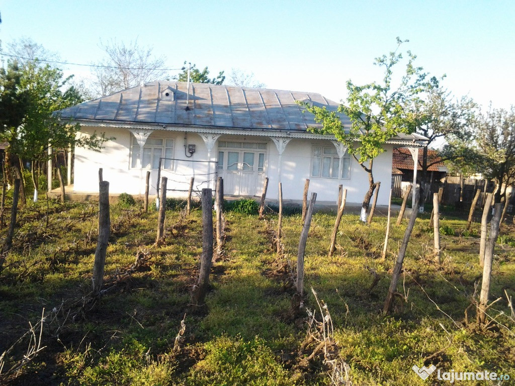 Casa cu teren