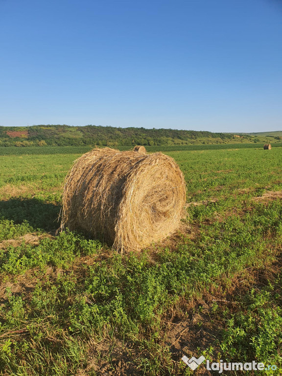 Baloți rotunzi