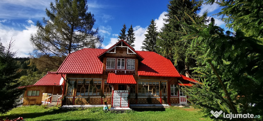 Casa și teren Vatra Dornei