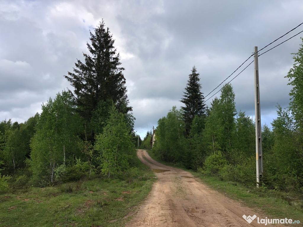 Teren Călăţele Pădure 3600mp