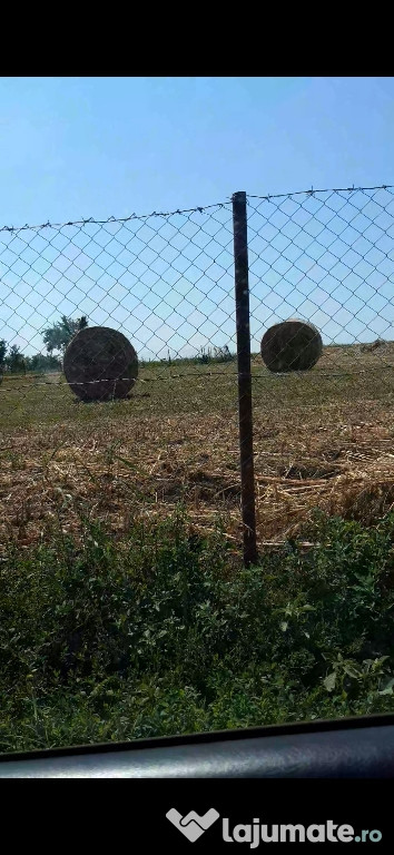 Baloți lucernă și ovăz cu lucernă