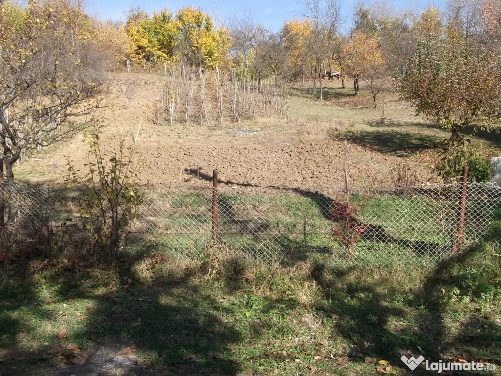 Teren intravilan in razvad str valea pietri