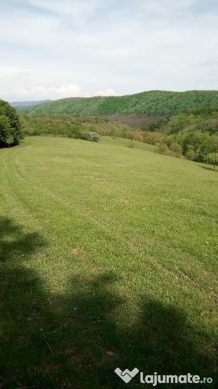 TEREN AGRICOL