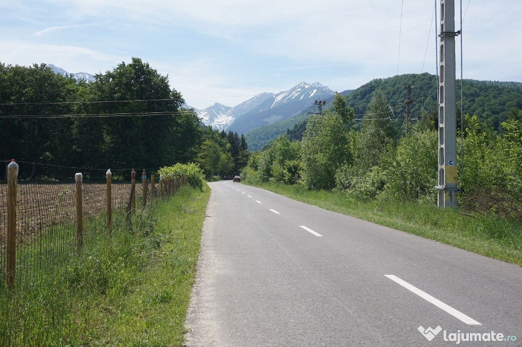 Teren Sambata de Sus, Brasov