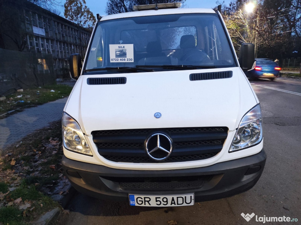 Mercedes-Benz 313 CDI Basculabil