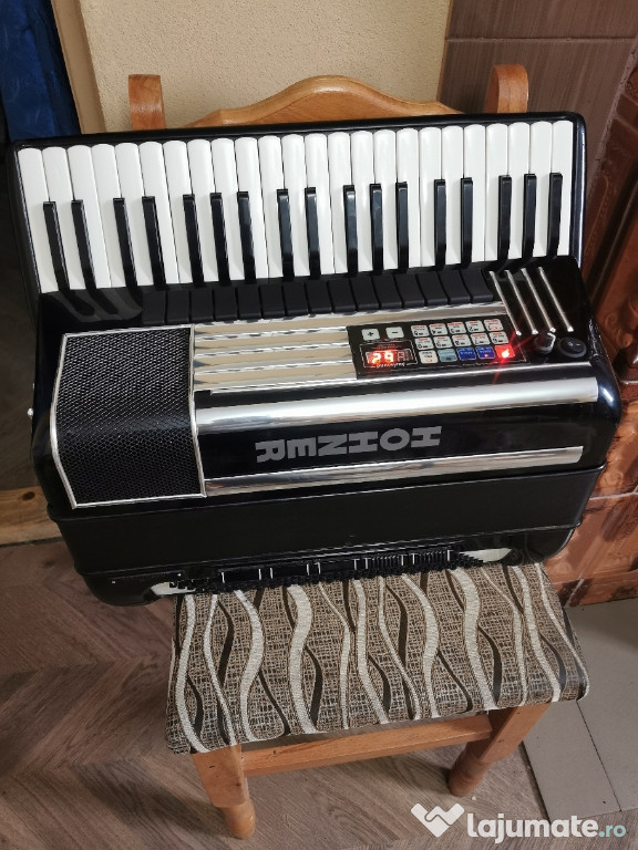 Acordeon cu midii