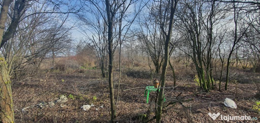 Teren 4700 mp Sabiesti-Racari