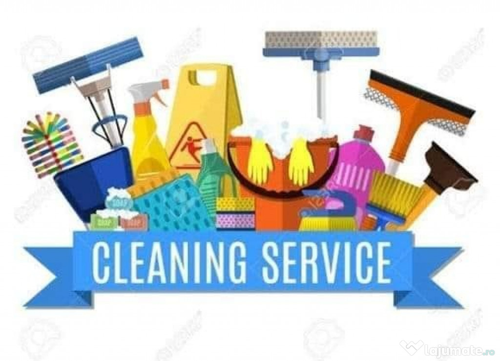 Cuplu pentru domestic cleaning