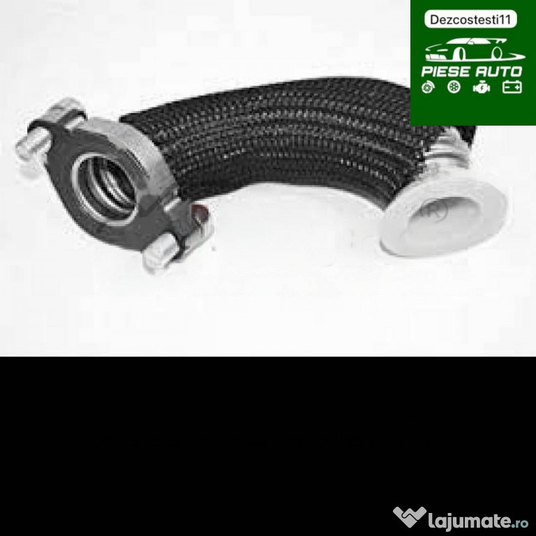 Conducta Egr Renault Scenic 1997