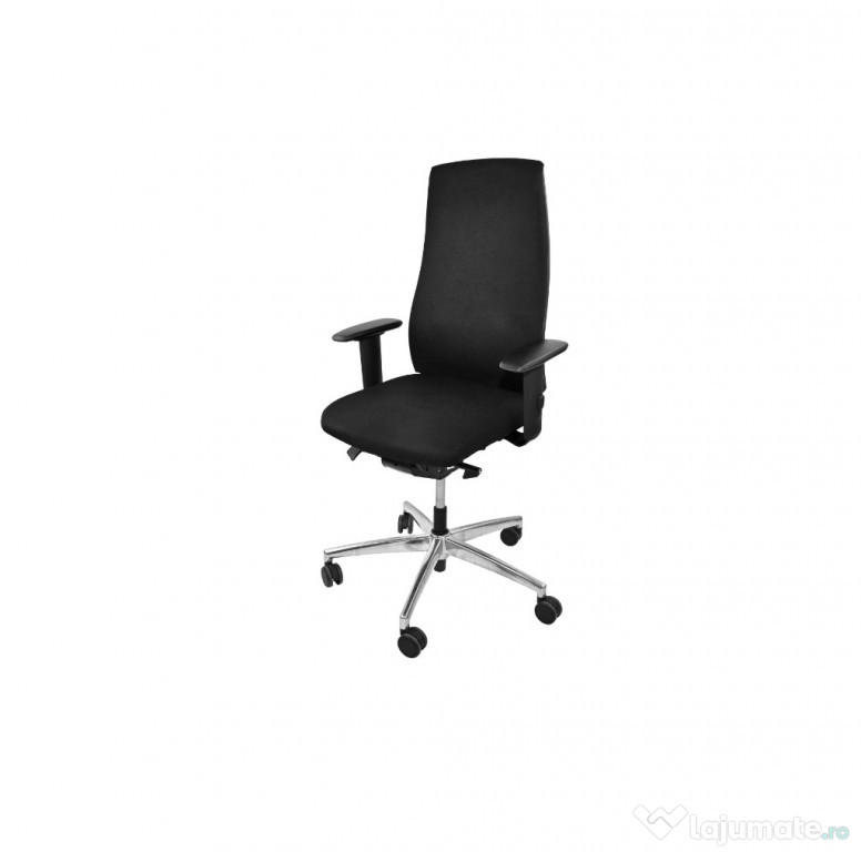 Scaun ergonomic INTERSTHUL