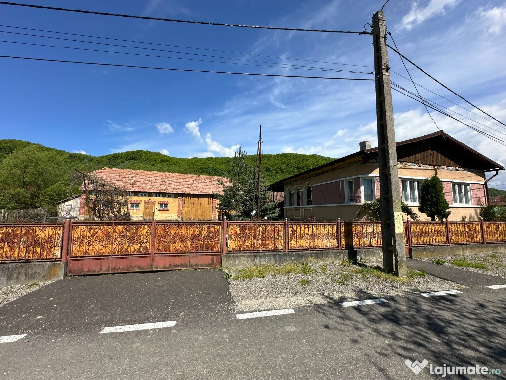 Casa + terenuri (7 Hectare) Deleni (Ideciu de Jos), Mures