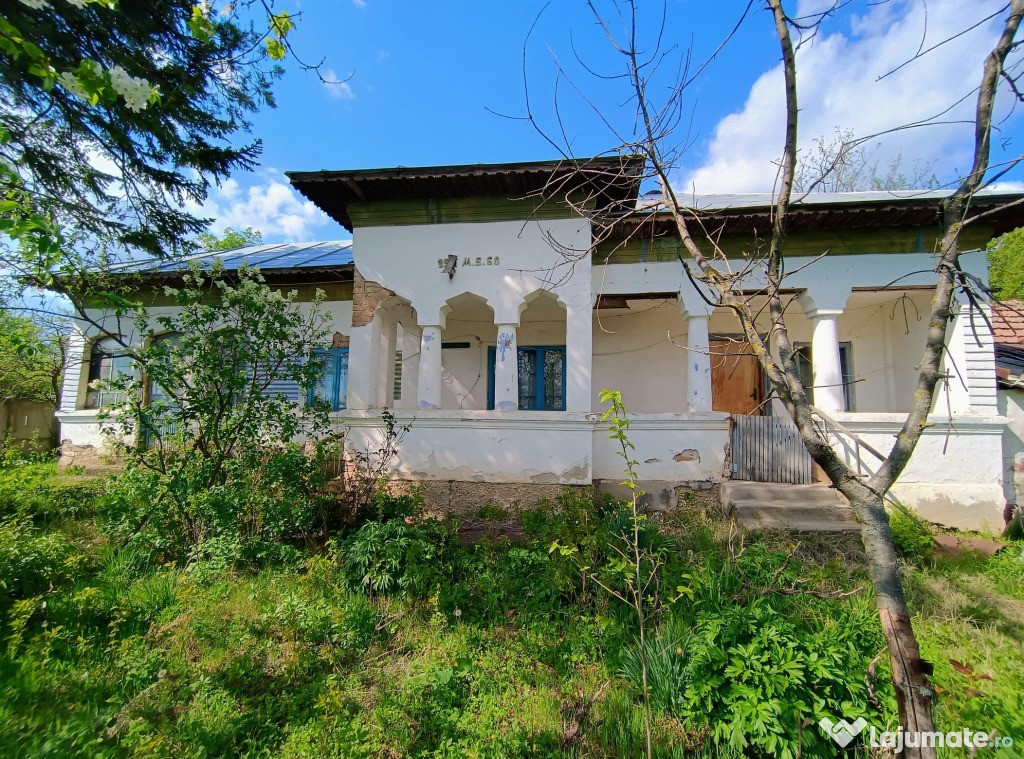 Casa la tara sat Tudor Vladimirescu, comuna Salcia, Judetul Teleorman