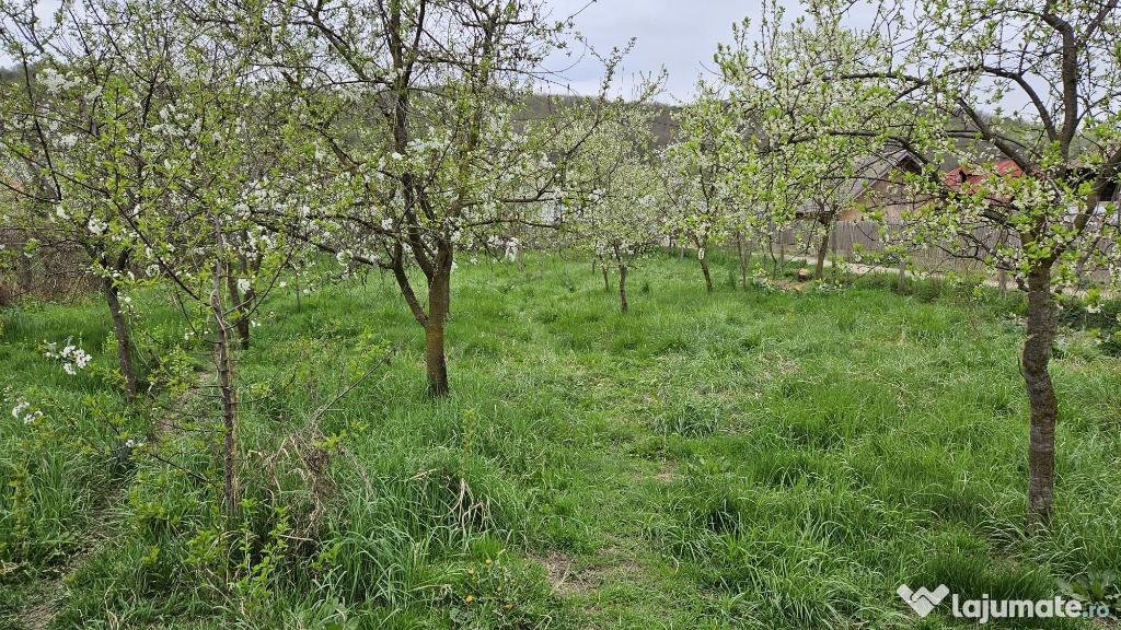 Teren intravilan 2700mp comuna Bogati - Arges