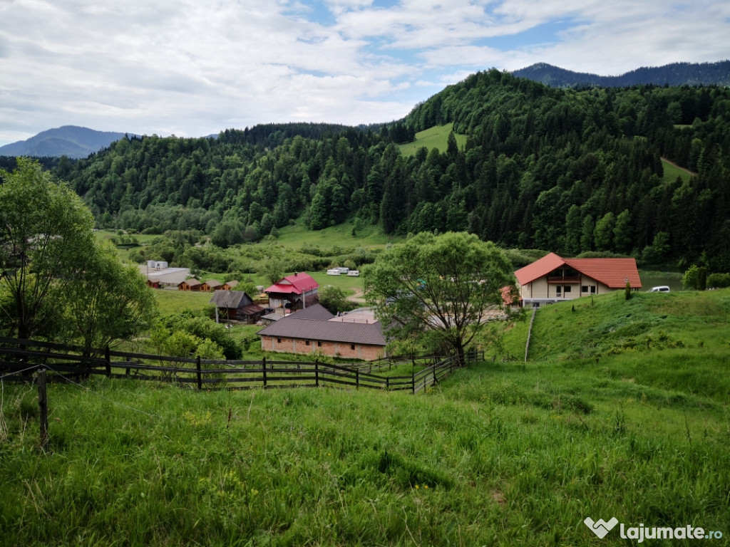 10 arii teren intravilan la Colibita