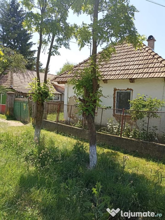De vânzare casa particulara în satul Borosneu Mic.