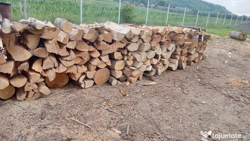 Vand lemne de foc esenta tare carpen si fag